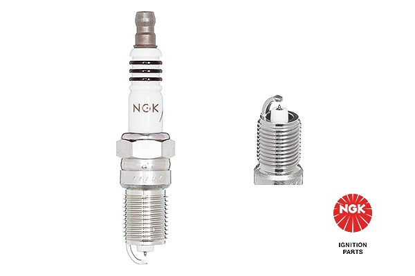 Ngk Zündkerze [Hersteller-Nr. 7397] für Mazda, Ford