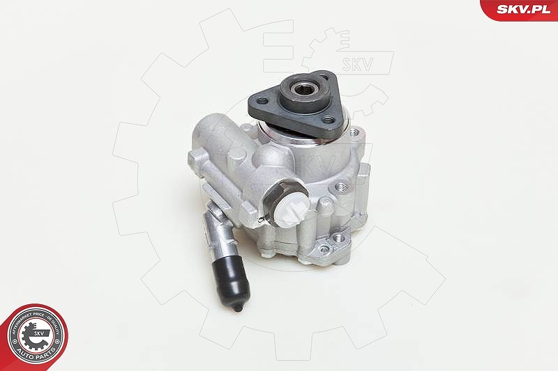 Esen Skv Hydraulikpumpe, Lenkung [Hersteller-Nr. 10SKV048] für Audi