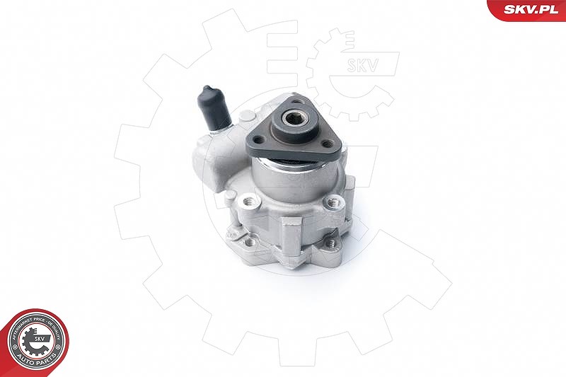 Esen Skv Hydraulikpumpe, Lenkung [Hersteller-Nr. 10SKV122] für BMW