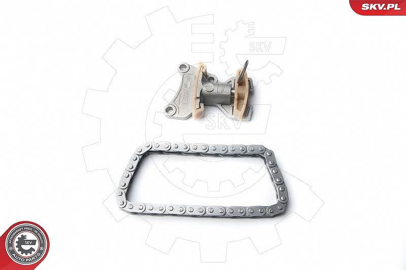 Esen Skv Steuerkettensatz [Hersteller-Nr. 21SKV020] für VW, Audi, Seat, Skoda