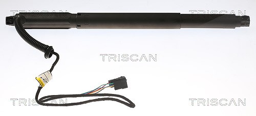 Triscan Gasfeder, Koffer-/Laderaum [Hersteller-Nr. 871011301] für BMW