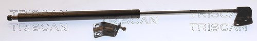 Triscan Gasfeder, Koffer-/Laderaum [Hersteller-Nr. 871069216] für Suzuki