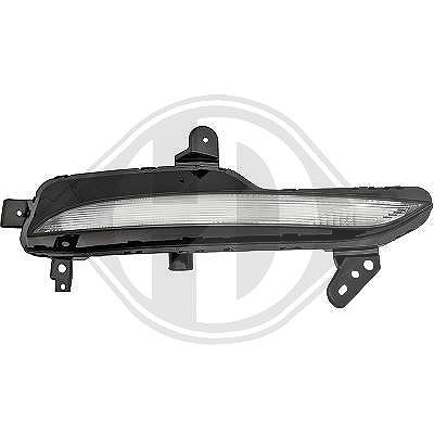Diederichs Blinkleuchte [Hersteller-Nr. 4467072] für Renault