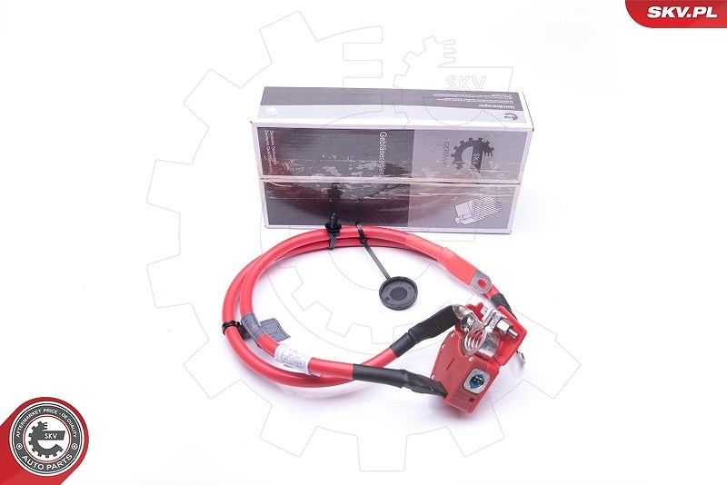 Esen Skv Batterieadapter [Hersteller-Nr. 96SKV307] für BMW