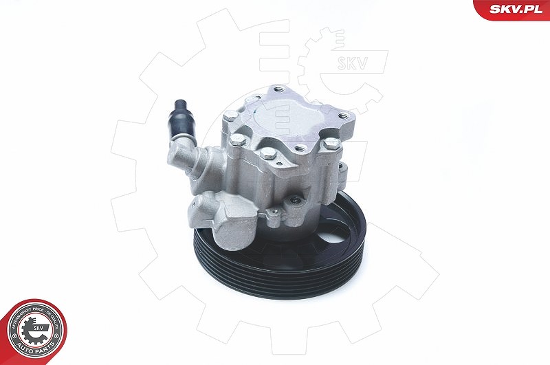 Esen Skv Hydraulikpumpe, Lenkung [Hersteller-Nr. 10SKV073] für Citroën, Fiat, Peugeot