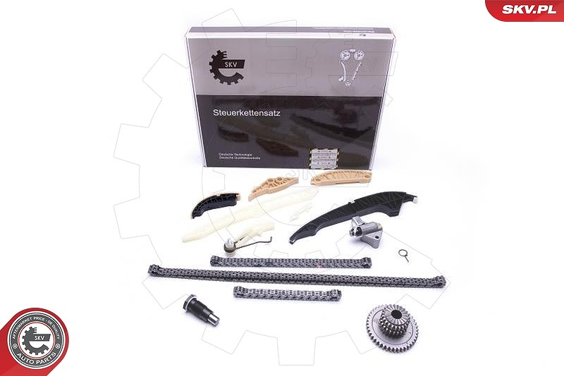 Esen Skv Steuerkettensatz [Hersteller-Nr. 21SKV139] für VW, Skoda, Audi, Seat