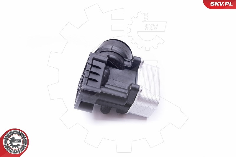 Esen Skv Gehäuse, Ölfilter [Hersteller-Nr. 31SKV054] für Skoda, Seat, VW