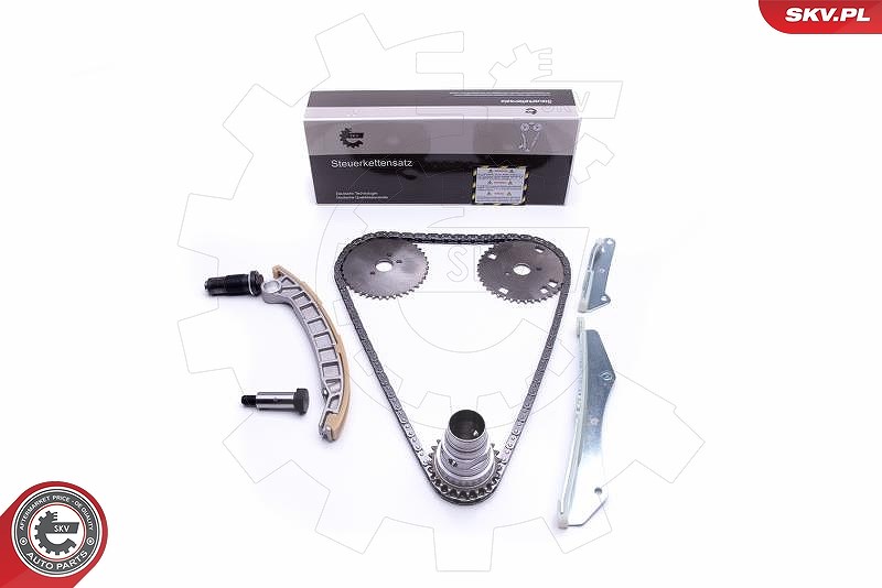 Esen Skv Steuerkettensatz [Hersteller-Nr. 21SKV142] für Peugeot, Iveco, Fiat, Citroën
