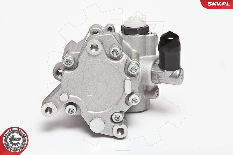 Esen Skv Hydraulikpumpe, Lenkung [Hersteller-Nr. 10SKV043] für Mercedes-Benz