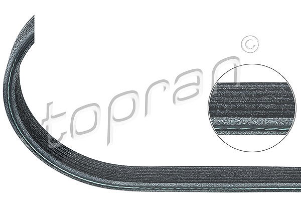 Topran Keilrippenriemen [Hersteller-Nr. 109865] für Audi, VW