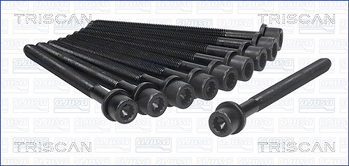Triscan Zylinderkopfschraubensatz [Hersteller-Nr. 98-8513] für Seat, VW