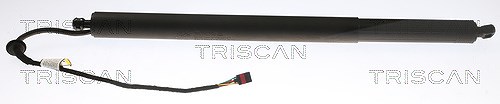 Triscan Gasfeder, Koffer-/Laderaum [Hersteller-Nr. 871043302] für Hyundai