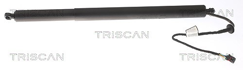 Triscan Gasfeder, Koffer-/Laderaum [Hersteller-Nr. 871043301] für Hyundai