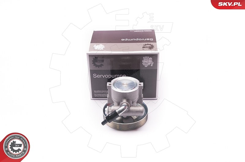 Esen Skv Hydraulikpumpe, Lenkung [Hersteller-Nr. 10SKV218] für Citroën, Peugeot