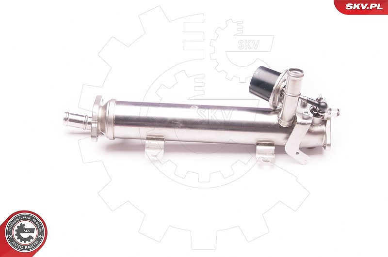 Esen Skv AGR-Ventil [Hersteller-Nr. 14SKV123] für Skoda, VW, Audi, Seat