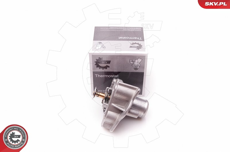 Esen Skv Thermostat, Kühlmittel [Hersteller-Nr. 20SKV069] für Fiat, Iveco