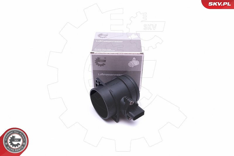 Esen Skv Luftmassenmesser [Hersteller-Nr. 07SKV171] für BMW