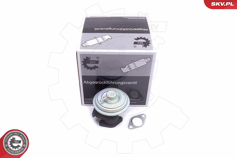 Esen Skv AGR-Ventil [Hersteller-Nr. 14SKV203] für Peugeot, Citroën