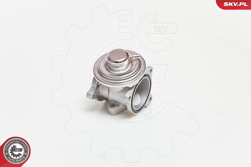 Esen Skv AGR-Ventil [Hersteller-Nr. 14SKV034] für VW, Audi, Skoda, Seat