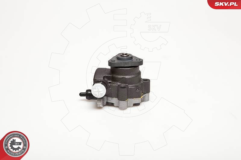 Esen Skv Hydraulikpumpe, Lenkung [Hersteller-Nr. 10SKV095] für Land Rover