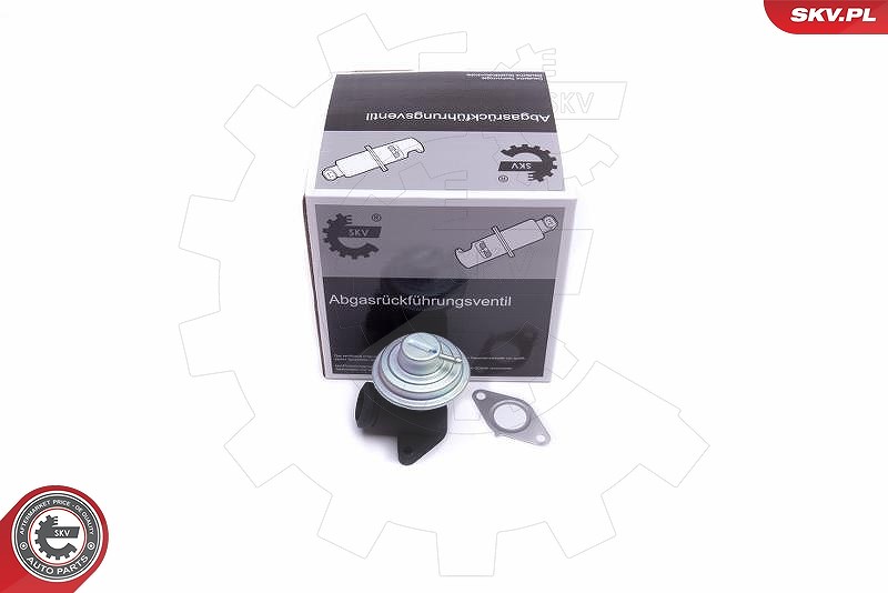 Esen Skv AGR-Ventil [Hersteller-Nr. 14SKV205] für Suzuki, Fiat, Citroën, Lancia, Peugeot