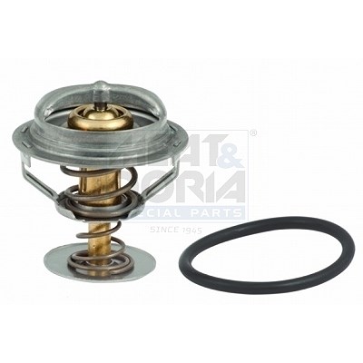 Meat & Doria Thermostat, Kühlmittel [Hersteller-Nr. 92521] für Ford