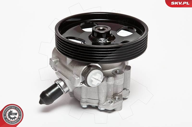 Esen Skv Hydraulikpumpe, Lenkung [Hersteller-Nr. 10SKV023] für Peugeot, Citroën
