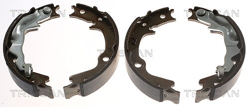 Triscan Bremsbackensatz, Feststellbremse [Hersteller-Nr. 810043023] für Hyundai, Kia