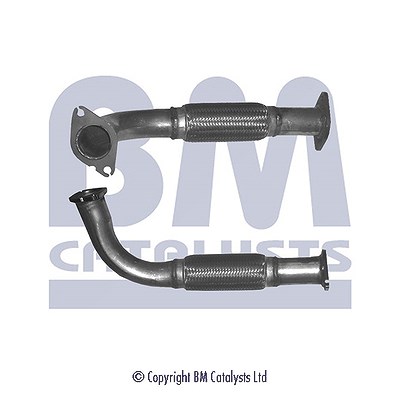 Bm Catalysts Hosenrohr [Hersteller-Nr. BM50165] für Jaguar, Ford