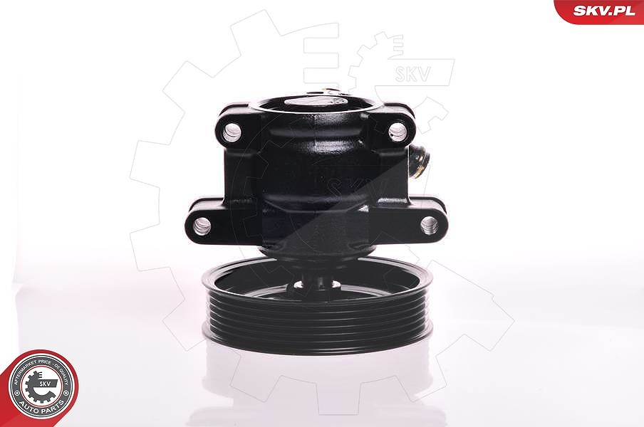 Esen Skv Hydraulikpumpe, Lenkung [Hersteller-Nr. 10SKV150] für Ford