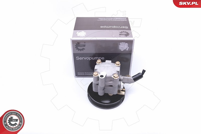 Esen Skv Hydraulikpumpe, Lenkung [Hersteller-Nr. 10SKV276] für Nissan