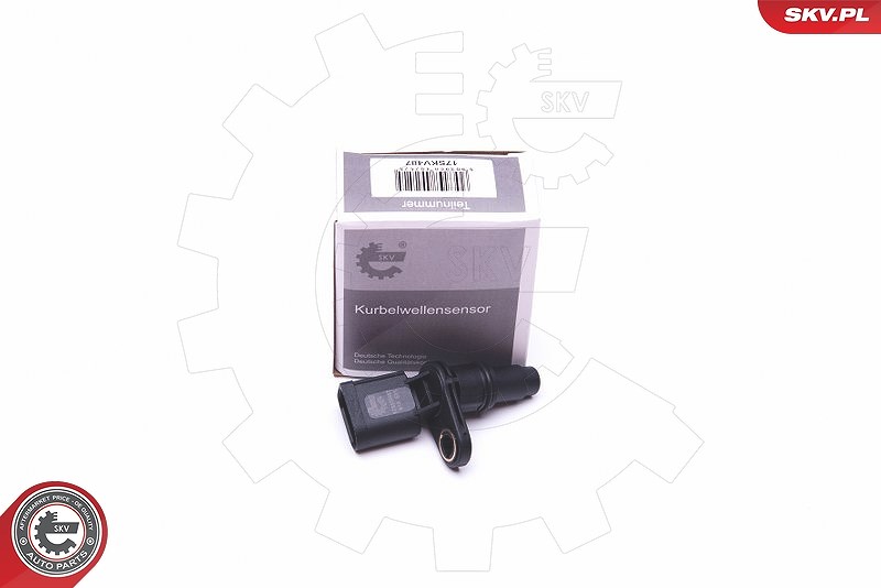 Esen Skv Sensor, Nockenwellenposition [Hersteller-Nr. 17SKV487] für Seat, VW, Skoda, Audi