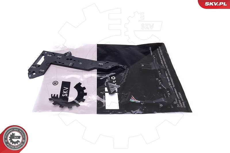 Esen Skv Reparatursatz, Automatikgetriebeflansch [Hersteller-Nr. 96SKV065] für Audi