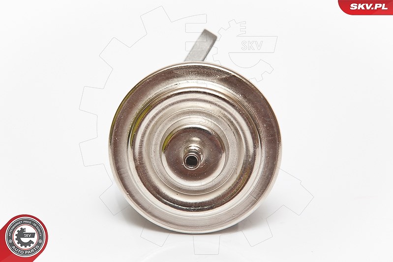 Esen Skv AGR-Ventil [Hersteller-Nr. 14SKV068] für Mercedes-Benz, Ford