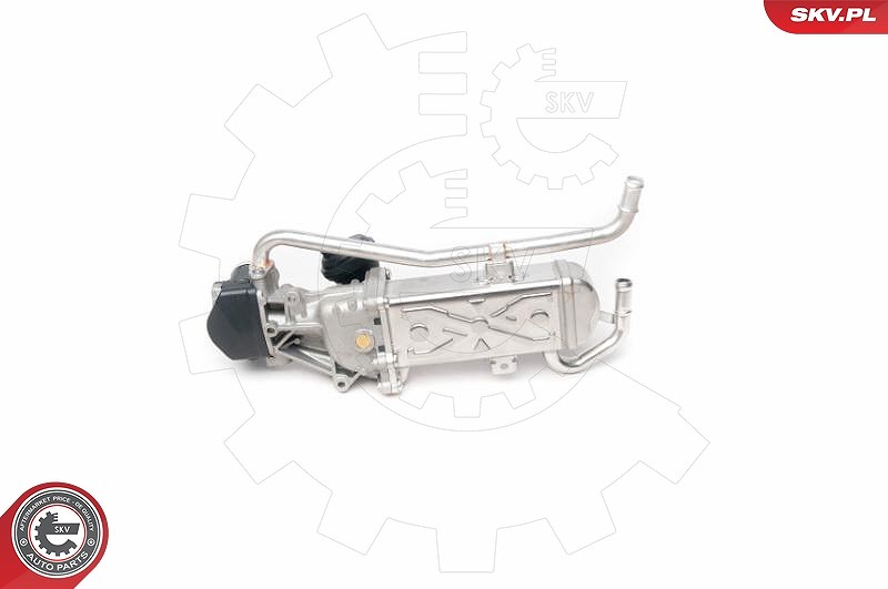 Esen Skv AGR-Ventil [Hersteller-Nr. 14SKV095] für Audi, Seat, VW, Skoda