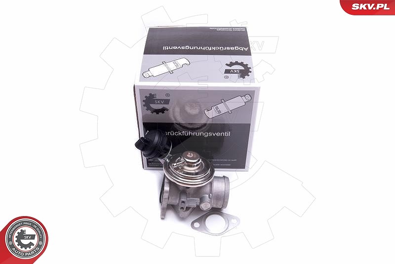 Esen Skv AGR-Ventil [Hersteller-Nr. 14SKV206] für Seat, Audi, VW