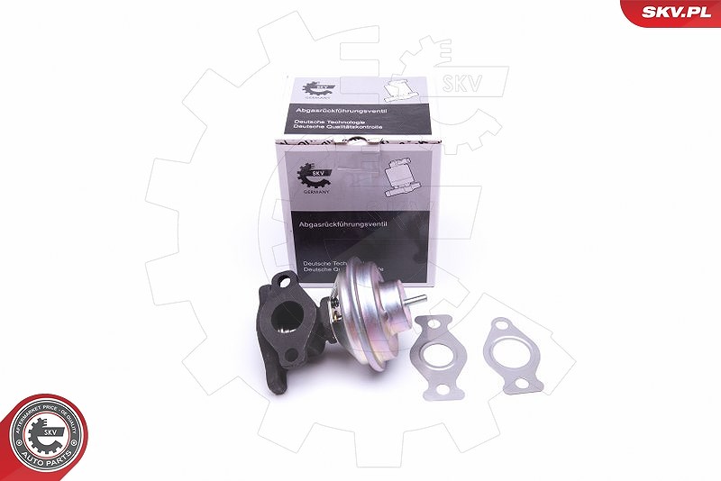 Esen Skv AGR-Ventil [Hersteller-Nr. 14SKV204] für Hyundai, Kia