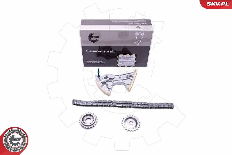 Esen Skv Kettensatz, Ölpumpenantrieb [Hersteller-Nr. 21SKV105] für Seat, Skoda, VW, Audi