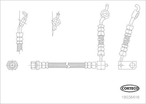 Corteco Bremsschlauch ERSTAUSRÜSTERQUALITÄT [Hersteller-Nr. 19036616] für Toyota
