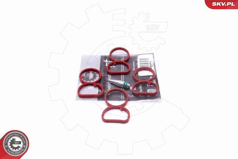 Esen Skv Reparatursatz, Saugrohrmodul [Hersteller-Nr. 49SKV513] für BMW