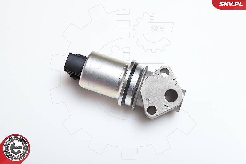 Esen Skv AGR-Ventil [Hersteller-Nr. 14SKV043] für Seat, VW