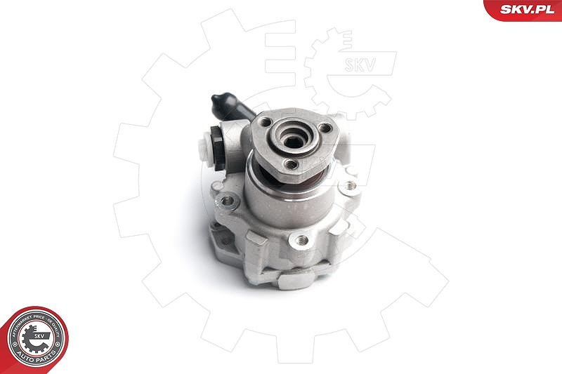 Esen Skv Hydraulikpumpe, Lenkung [Hersteller-Nr. 10SKV173] für Seat, VW