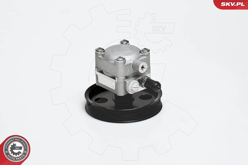 Esen Skv Hydraulikpumpe, Lenkung [Hersteller-Nr. 10SKV176] für Volvo