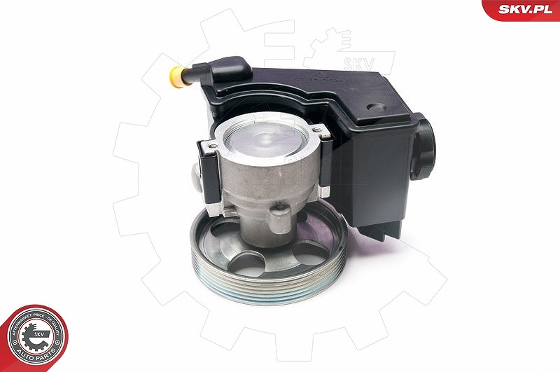 Esen Skv Hydraulikpumpe, Lenkung [Hersteller-Nr. 10SKV231] für Citroën