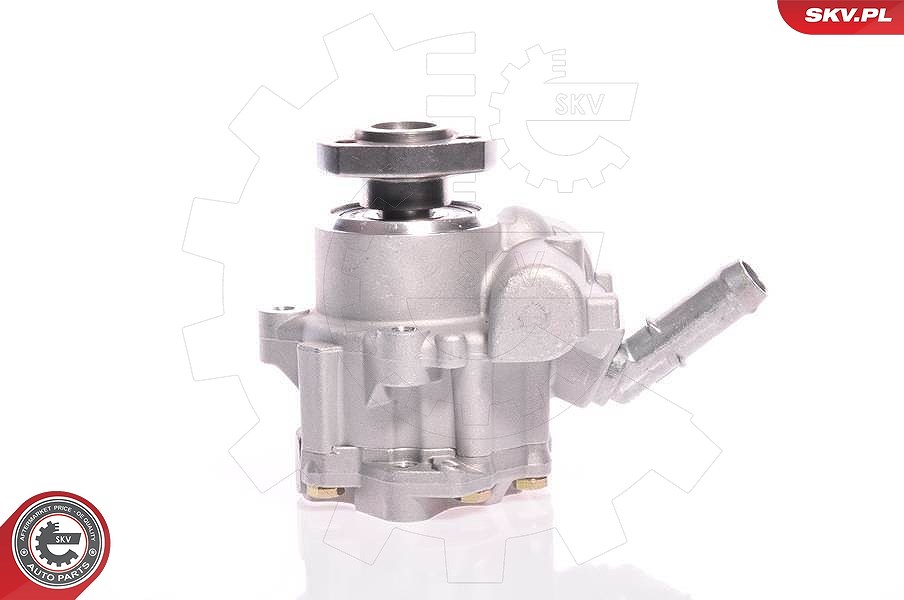 Esen Skv Hydraulikpumpe, Lenkung [Hersteller-Nr. 10SKV165] für Seat, VW, Ford