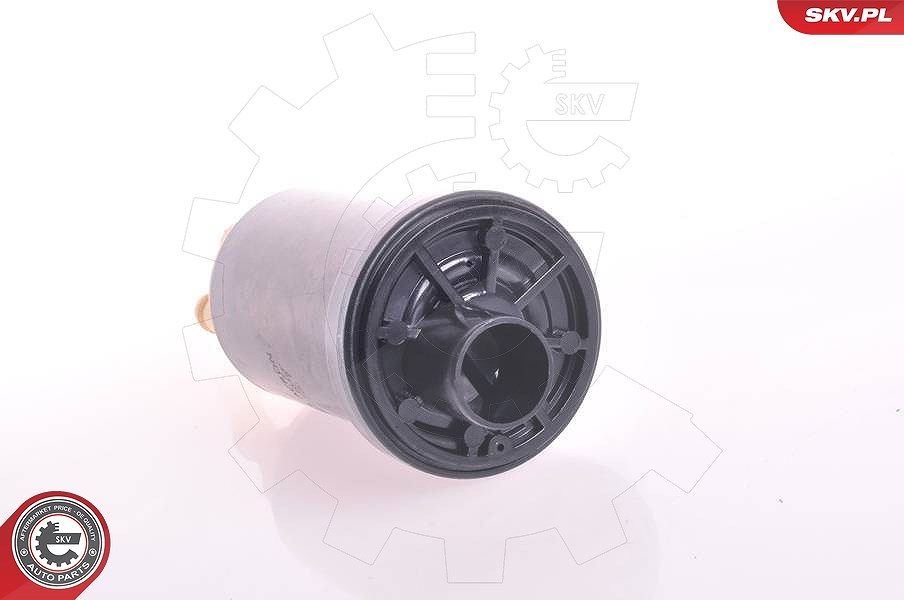Esen Skv Kraftstoffpumpe [Hersteller-Nr. 02SKV276] für Audi