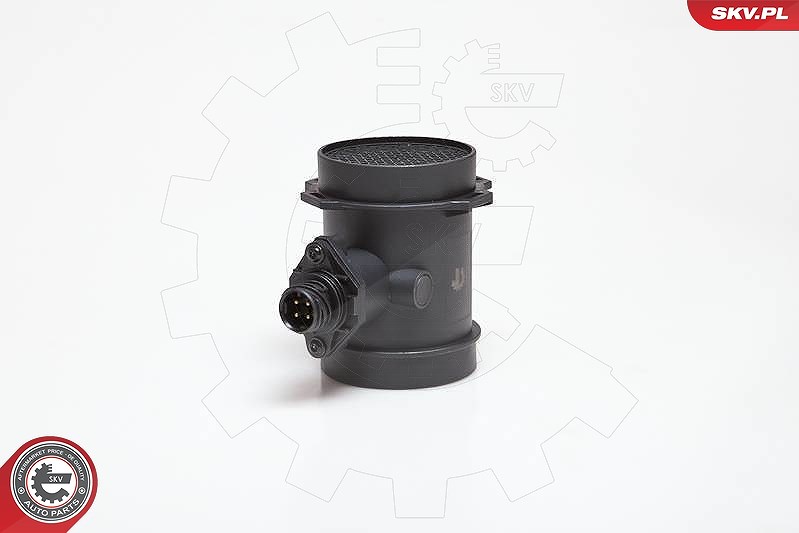 Esen Skv Luftmassenmesser [Hersteller-Nr. 07SKV032] für BMW