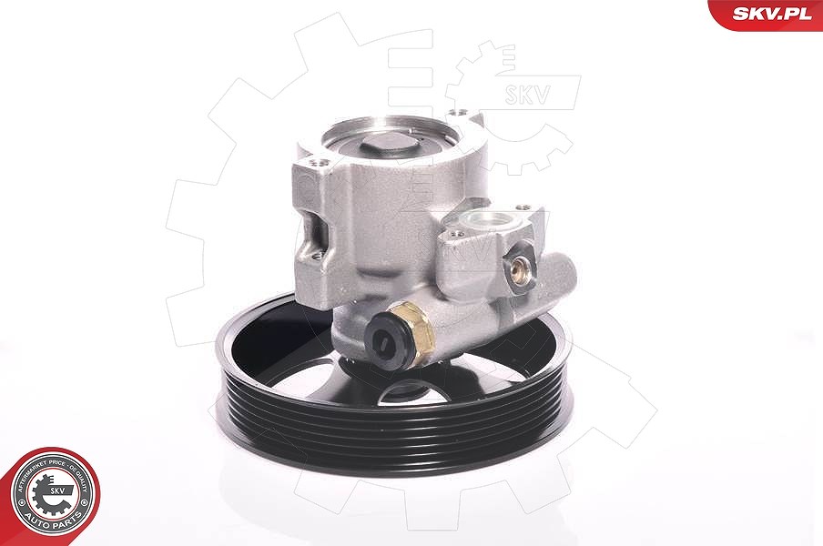 Esen Skv Hydraulikpumpe, Lenkung [Hersteller-Nr. 10SKV143] für Daewoo