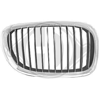 Diederichs Kühlergitter [Hersteller-Nr. 1244040] für BMW