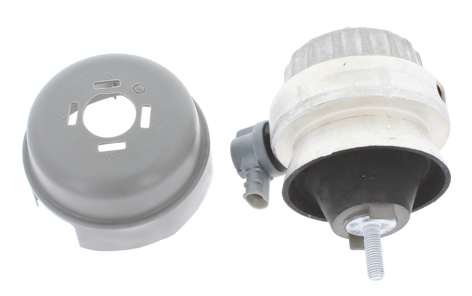 Corteco Lagerung, Motor [Hersteller-Nr. 49446190] für Audi